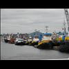 IMG_6686
3/21/2007 2:40:56 PM